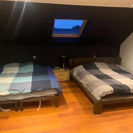 Ideal Tml House Next To Main Entrance * Boom